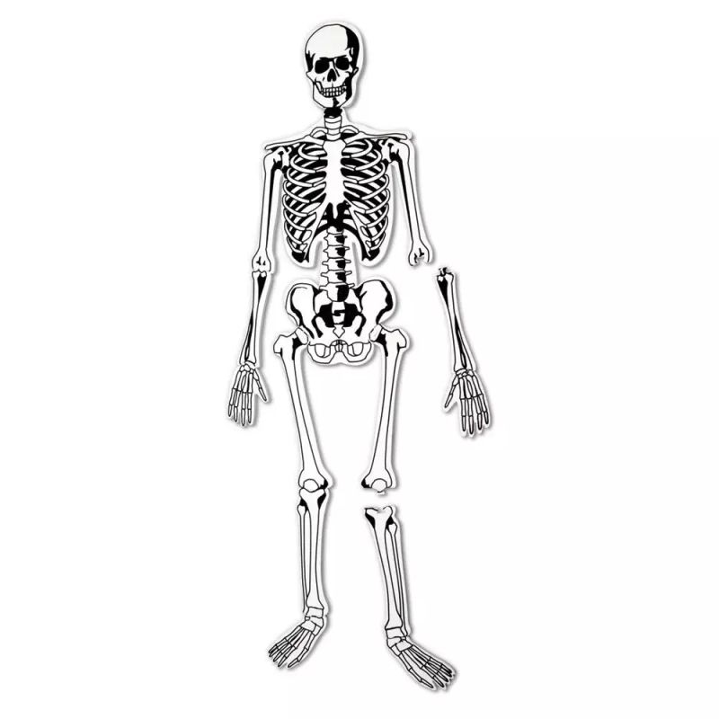 картинка Напольный пазл "Скелет"  (122см., 15 элементов) от магазина снабжение школ