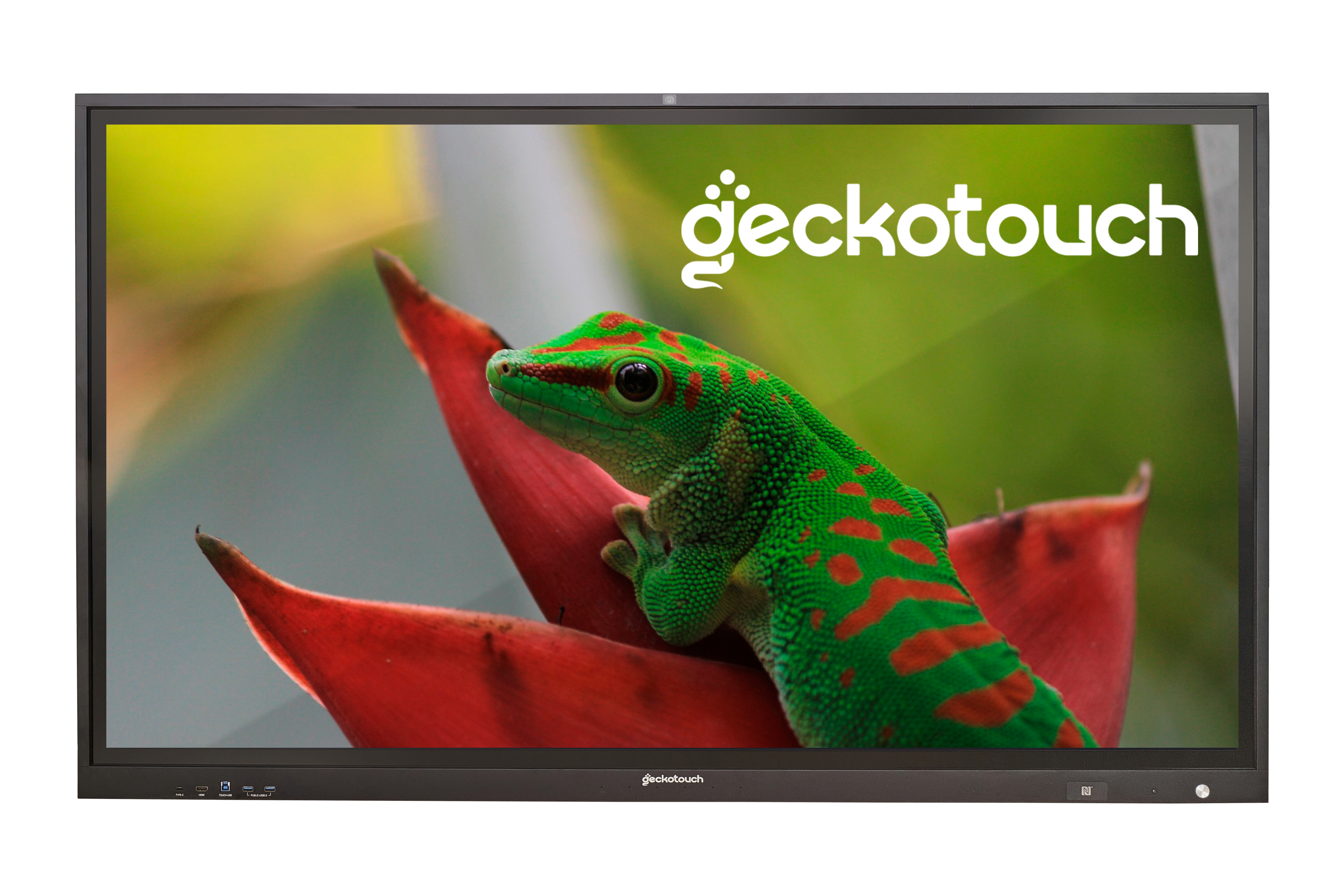 картинка Интерактивная панель Geckotouch IP86GT-C от магазина снабжение школ