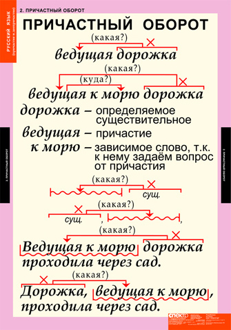 картинка Русский язык. Причастие и деепричастие интернет-магазина Edusnab все для образовательного процесса