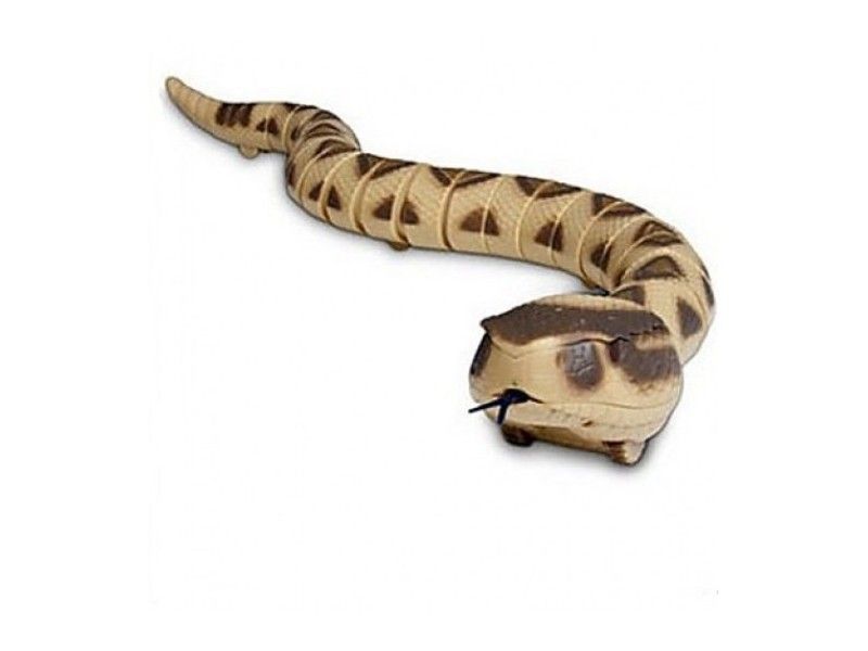 картинка ИК змея Cute Sunlight Гремучая змея от магазина снабжение школ