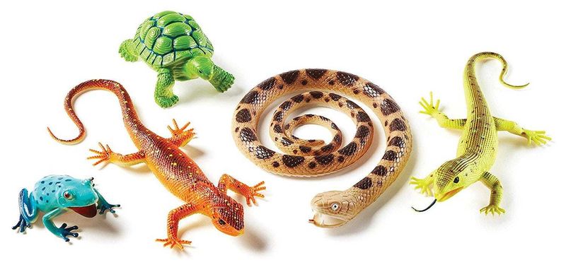 картинка Развивающая игрушка "Рептилии и амфибии"  (5 элементов) от магазина снабжение школ