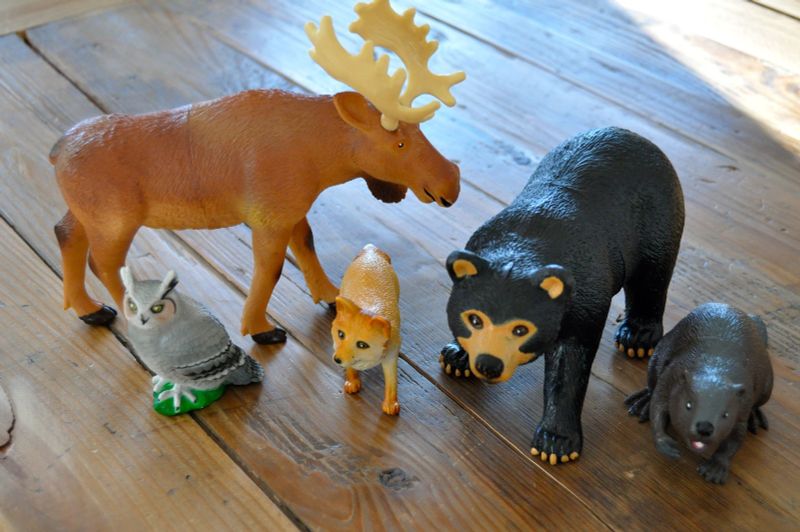 картинка "Развивающая игрушка Животные леса"  (5 элементов) от магазина снабжение школ