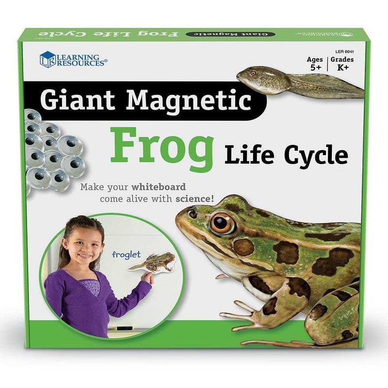 картинка Развивающая игрушка "Жизненный цикл лягушки",магнитный  (демонстрационный материал, 9 элементов ) от магазина снабжение школ