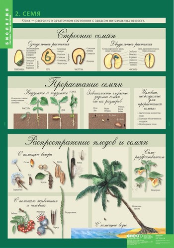 картинка Биология 6 класс. Растения, грибы, лишайники интернет-магазина Edusnab все для образовательного процесса