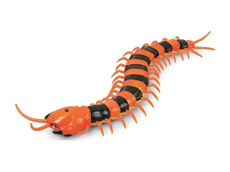 картинка ИК Сороконожка Best Fun Toys 9901 Centipede свет от магазина снабжение школ