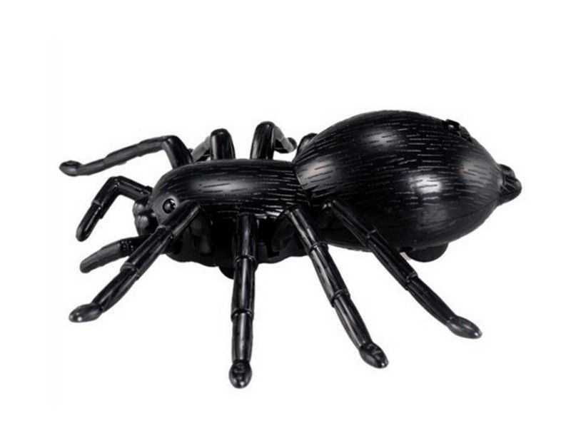 картинка ИК Паук Best Fun Toys 9991 Spider свет от магазина снабжение школ