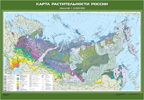 картинка Карта растительности России интернет-магазина Edusnab все для образовательного процесса