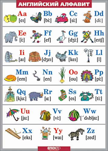 картинка Английский алфавит в картинках (винил) интернет-магазина Edusnab все для образовательного процесса