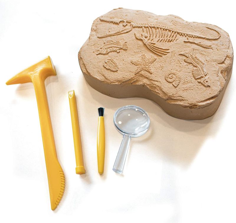 картинка Развивающая игрушка "Юный Геолог"  (серия GeoSafari, комплект для раскопок ископаемых) от магазина снабжение школ