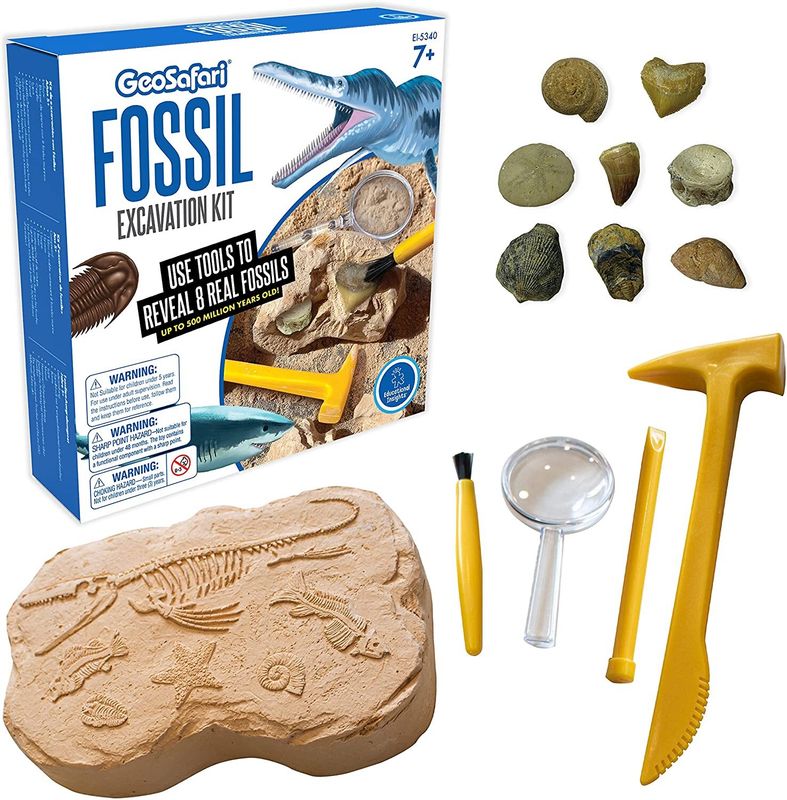 картинка Развивающая игрушка "Юный Геолог"  (серия GeoSafari, комплект для раскопок ископаемых) от магазина снабжение школ