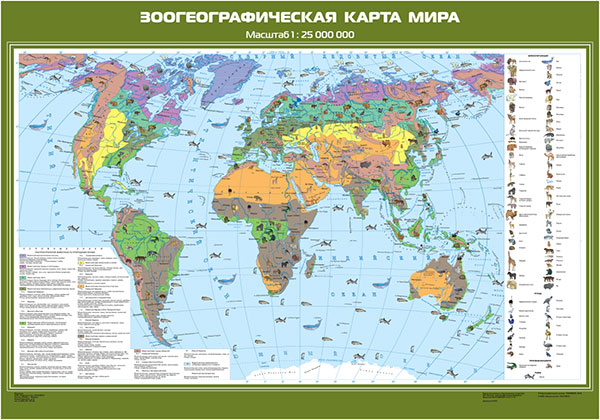 картинка Зоогеографическая карта мира интернет-магазина Edusnab все для образовательного процесса