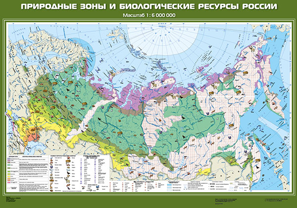 картинка Природные зоны и биологические ресурсы России интернет-магазина Edusnab все для образовательного процесса