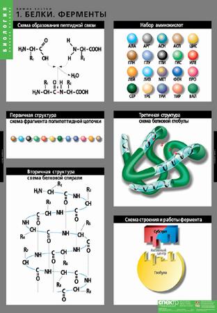 картинка Химия клетки интернет-магазина Edusnab все для образовательного процесса